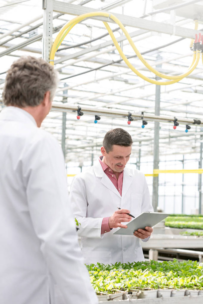 Mature male biochemists amidst seedlings in greenhouse - Foto, Imagen