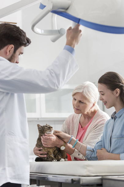 Doctor standing with woman and girl looking at cat in veterinary clinic - Fotografie, Obrázek