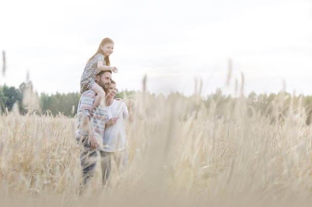 Père portant sa fille sur les épaules à la ferme de blé
 - Photo, image