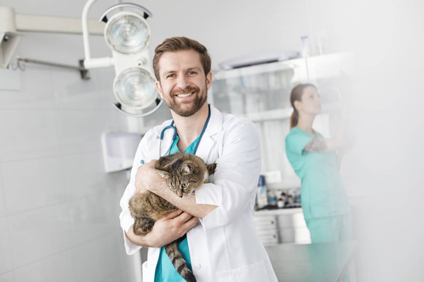 Portrait of smiling doctor carrying cat while standing against coworker at veterinary clinic - Valokuva, kuva
