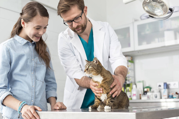 Doctor and girl looking at cat on table in veterinary clinic - 写真・画像