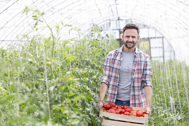 Smiling farmer carrying tomatoes in crate at farm - Fotografie, Obrázek