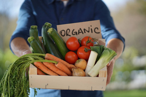 Primer plano del agricultor local sosteniendo cajón de verduras orgánicas de temporada con signo
 - Foto, Imagen