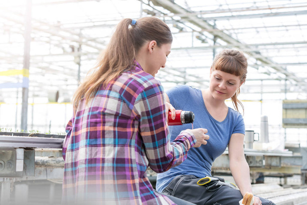 Female botanist pouring coffee for coworker in greenhouse - Foto, Imagen