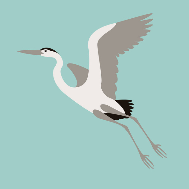  heron flying , vector illustration , flat style, profile  - Vector, Image