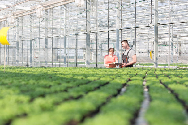 Botanists discussing while standing by herb seedlings in greenhouse - Foto, Imagen