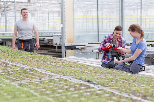 Smiling male botanist looking at female coworkers enjoying coffee break in greenhouse - Foto, Imagen