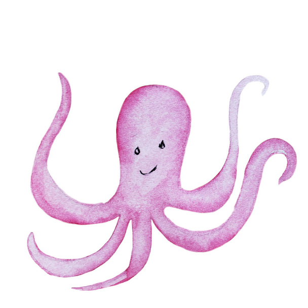Watercolor hand drawn octopus isolated on white background - Фото, зображення