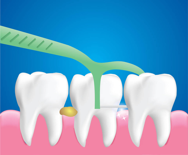 Recogidas de hilo dental, Herramienta de limpieza dental, Concepto de cuidado dental, Vector de ilustración
 - Vector, imagen