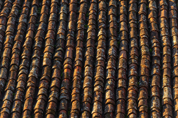Zázemí staré střešní tašky (taška - coppo) s mechy a lišejníky. Toskánsko, Itálie, Evropa - Fotografie, Obrázek