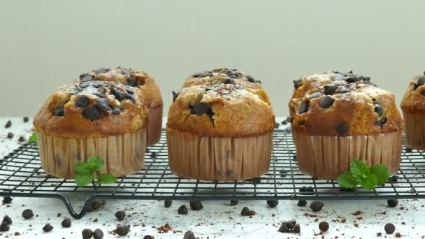 lahodné domácí muffiny s kapkami čokolády  - Záběry, video