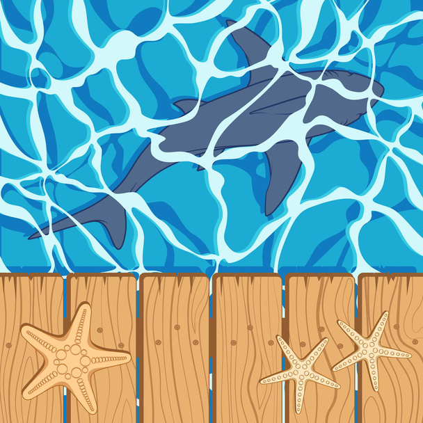 Marine color background with great white shark and starfish. Summer vector beach background. - Vektör, Görsel