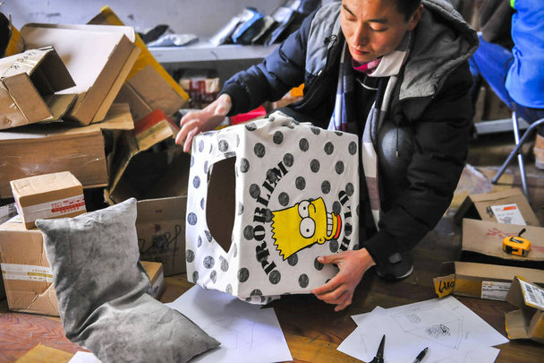 Китайський чоловік Лі Вей, начальник станції служба доставки станції Cainiao "Алібаба логістика", використовує посилки коробки з інтернет-магазинів, щоб побудувати "Вілла" для бездомних кішок в Ханчжоу Сіті, Східна Китаю провінції Чжецзян, 11 січня 2018 - Фото, зображення