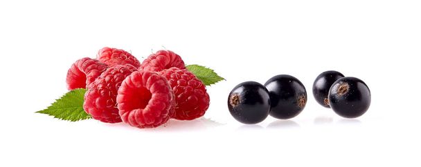 Raspberry and  black currant Isolated on White Background - Φωτογραφία, εικόνα