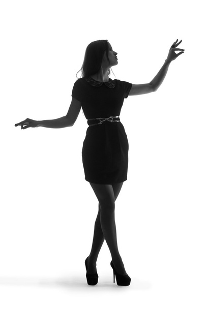 silhouette of a beautiful girl - Fotó, kép