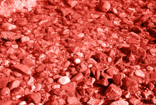 Морские камни, фон, тонировка в живой коралловый цвет 2019 года
 - Фото, изображение