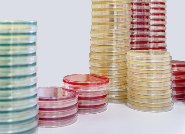 много сложенных чашек Петри, наполненных красочной средой для роста агара
 - Фото, изображение