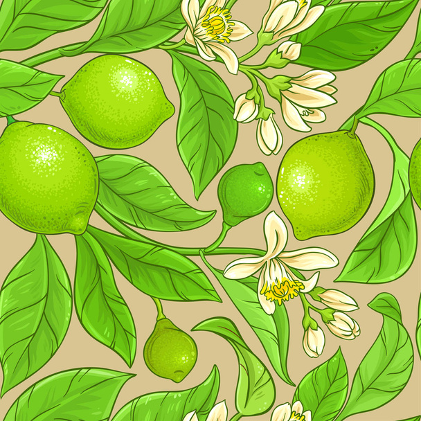 lime branches vector pattern on color background - Vector, Image
