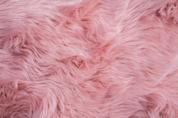 Fundo de pele de carneiro rosa. Padrão de pele. Textura de lã. Pele de ovino perto u
 - Foto, Imagem
