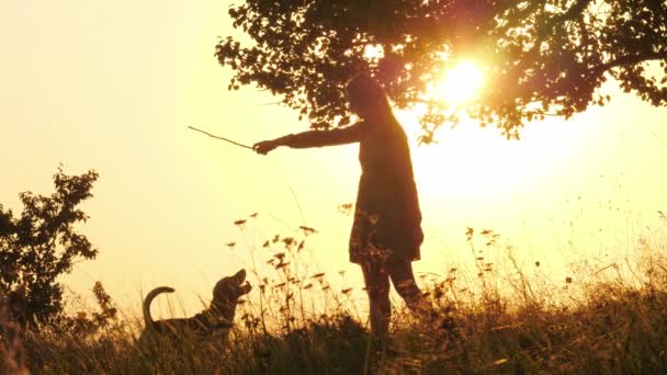 Σιλουέτες των κορίτσι κατάρτισης και παίζει με το χαριτωμένο σκυλάκι κατά το καταπληκτικό ηλιοβασίλεμα - Πλάνα, βίντεο