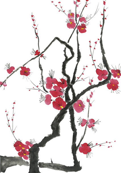 A branch of a blossoming tree. Pink and red stylized flowers of plum mei, wild apricots and sakura . Watercolor and ink illustration in style sumi-e, u-sin. Oriental traditional painting.   - Photo, Image