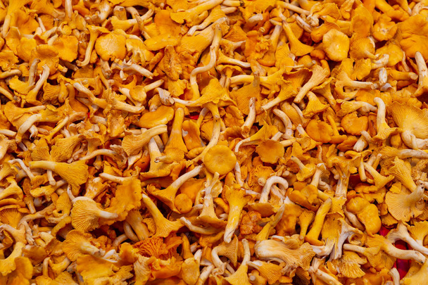 Pilha de cogumelos no mercado de rua
 - Foto, Imagem