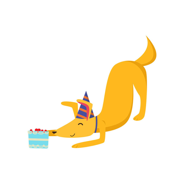 Honey cheerful orange dog is having fun and having a great time at a party. - Vektor, Bild