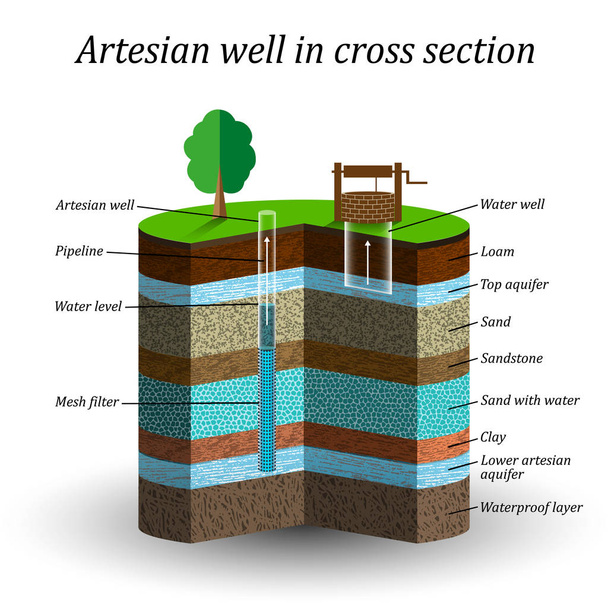 Artesian vesi hyvin poikkileikkaus, kaavamainen koulutus juliste. Pohjavesi, hiekka, sora, savi, savi, kosteuden erottaminen maaperästä, vektorikuvaus
. - Vektori, kuva