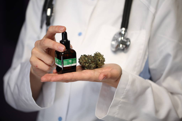 medical marijuana in the hand of a doctor. cannabis alternative medicine - Фото, зображення