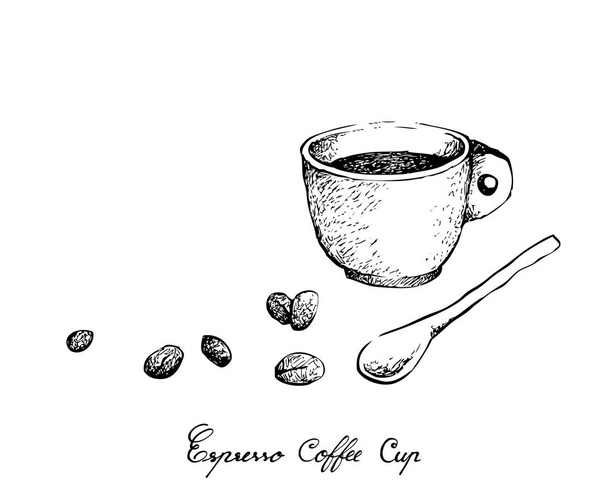 Szkic ręcznie rysowane ilustracja kubek kawy Espresso z Palone ziarna kawy na białym tle. - Wektor, obraz