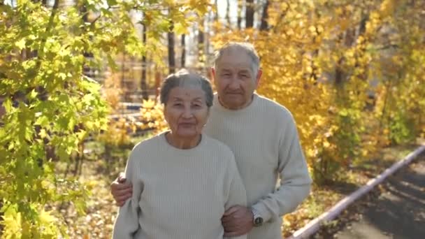 Tikje shot van een bejaarde echtpaar knuffelen in een park in een mooie een herfst omgeving - Video