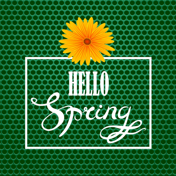 Привіт весна буквене позначення Design.Green банер з текстурованою вуглецю сітка фоном і тексту в квадратну рамку. - Фото, зображення