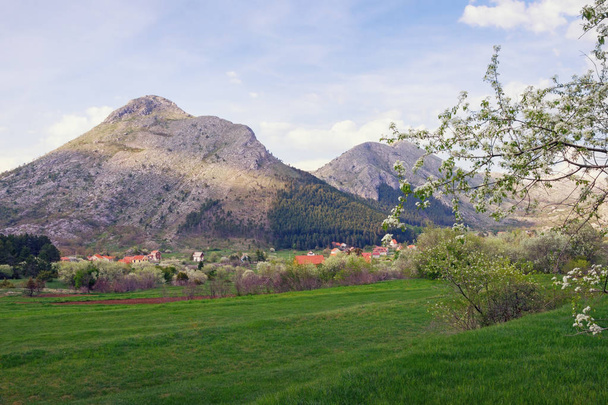 Dağlarda bahar günü. Karadağ, görünümü, Lovcen Milli Parkı yakınlarında Njegusi Köyü - Fotoğraf, Görsel