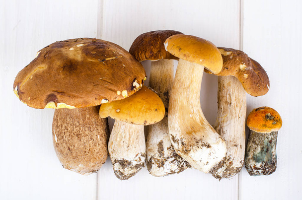 Fresh wild forest mushrooms on white wooden table. Studio Photo - Photo, Image