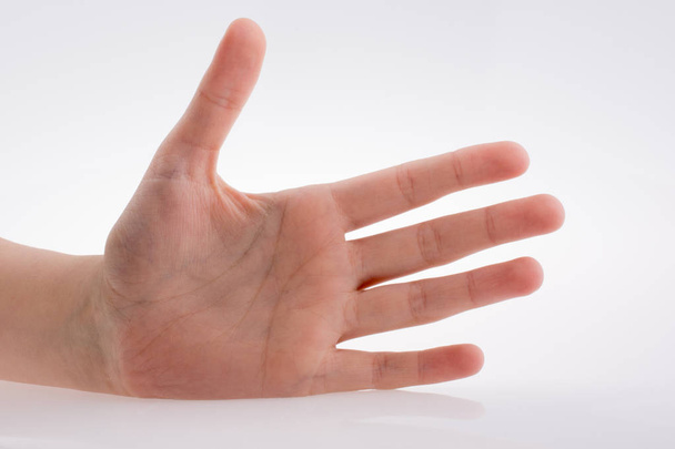 Ludzka ręka wskazująca na białe tło - Zdjęcie, obraz