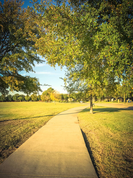 Φιλτραρισμένη τόνο αστικού πάρκου με τσιμεντένιο μονοπάτι και πράσινο γρασίδι δίκαιο - Φωτογραφία, εικόνα