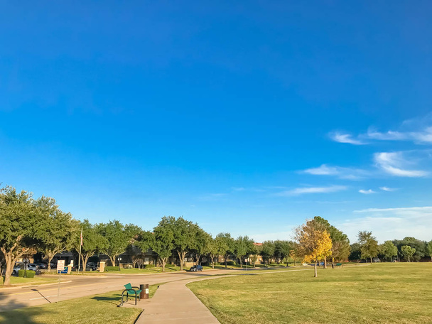 Urban park with concrete trail and green grass lawn at sunset - Photo, Image
