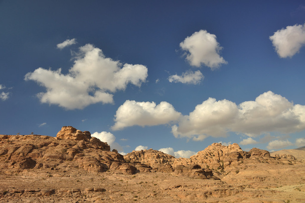 zonnige dag semi-woestijn - Foto, afbeelding