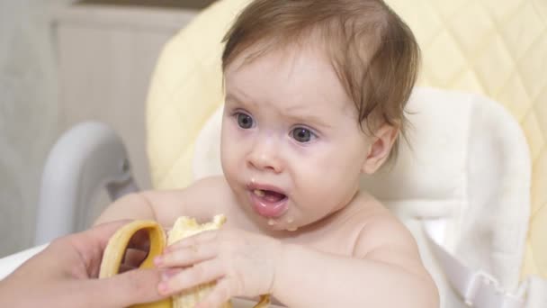 anya táplálja a kis gyermek banánnal. baba van reggeli, a gyermek székében. szép kis gyerek étkezési banán anyja kezében. - Felvétel, videó