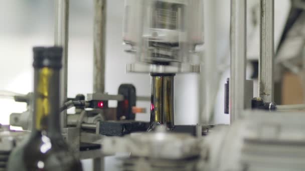 Filling of olive oil bottles in a bottling factory - Footage, Video