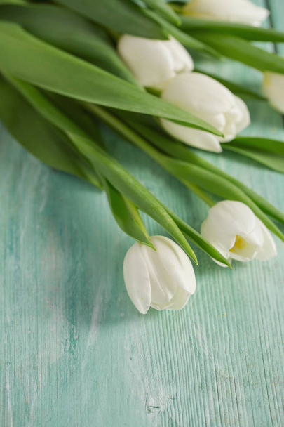 beautiful white tulips on turquoise wooden surface - Фото, зображення