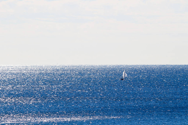 Світові океани і вітрильні човни
 - Фото, зображення
