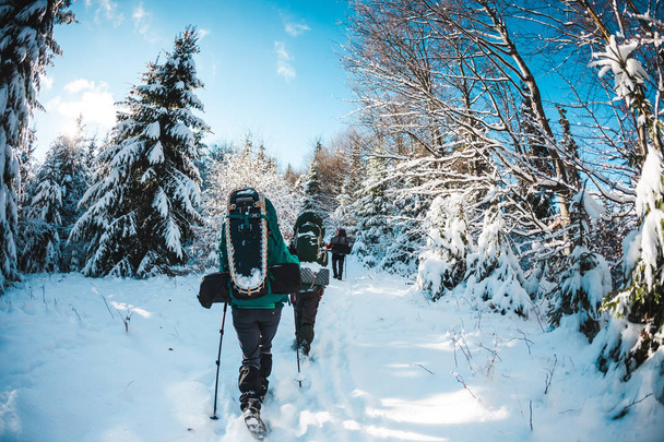 Freunde beim Winterwandern in den Bergen. Reisende gehen auf einem verschneiten Waldweg. Drei Freunde mit Rucksack, Wanderstöcken und Schneeschuhen klettern nach oben. Frau und Männer im Aufstieg. - Foto, Bild