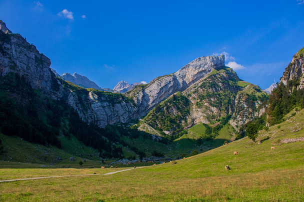 recorrido exploratorio por la hermosa región montañosa de Appenzell
  - Foto, imagen