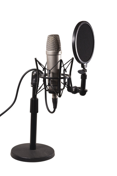 Desk Condenser Microphone - Photo, image