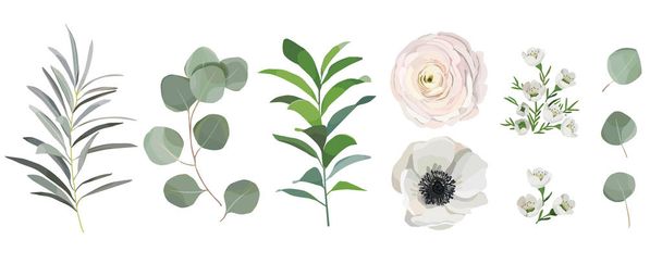 akvarell levelek, anemone, ranunculus virágok és ágakat eukaliptusz halmaza. Design elemek, minták, koszorú, babérfa és kompozíciók, üdvözlőlapok, esküvői meghívók. virágos koncepció - Vektor, kép