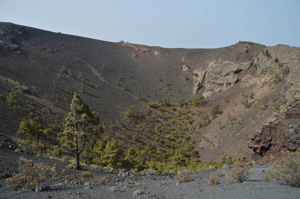 Внутренний кратер с молодым сосновым лесом в вулкане Сан-Антонио на острове Палм-Айленд на Канарских островах. Путешествия, природа, праздники, геология. 8 июля 2015 года. Исла-де-ла-Пальма
. - Фото, изображение