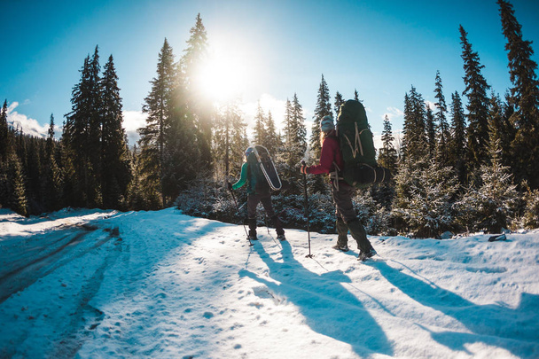Two women in a winter hike. Girlfriends with trekking poles are on a snow-covered mountain path. Girls with backpacks and snowshoes travel together. Friends walk on a sunny day through the fir forest. - Photo, Image