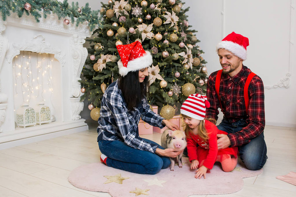 молодая милая улыбающаяся семья от матери мужчины и маленькой дочери, сидящей на коленях своего отца возле дерева и камина в праздничном платье с маленькой свиньей
 - Фото, изображение