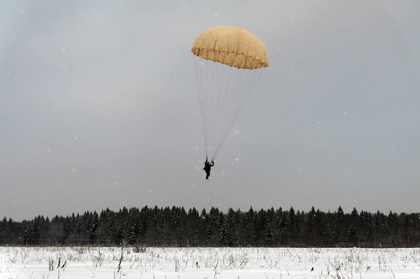 落下傘兵は雪原に着陸します。. - 写真・画像